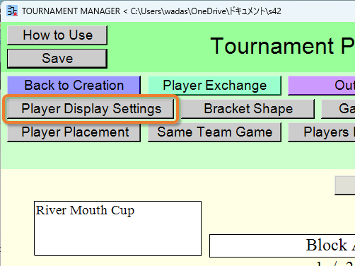 [Player Display Settings] button